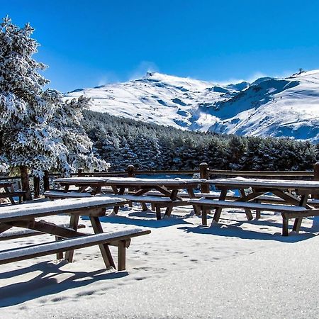 Todosierranevada Zona Baja - Apartamentos De 4 Dormitorios - Junto A Los Telecabinas Sierra Nevada Exteriör bild