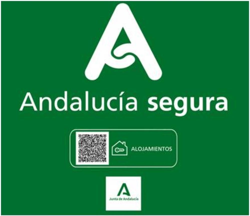 Todosierranevada Zona Baja - Apartamentos De 4 Dormitorios - Junto A Los Telecabinas Sierra Nevada Exteriör bild